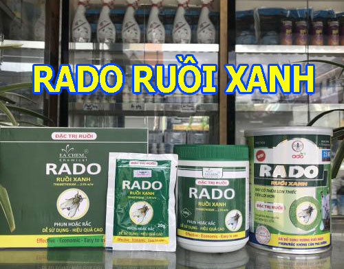 rado ruồi xanh